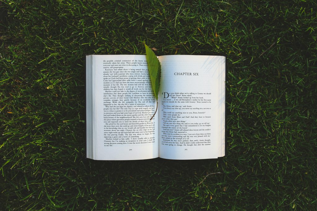 An open book lies on the grassy field with a leaf, evoking relaxation and summer reading vibes.